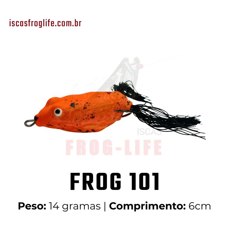 101