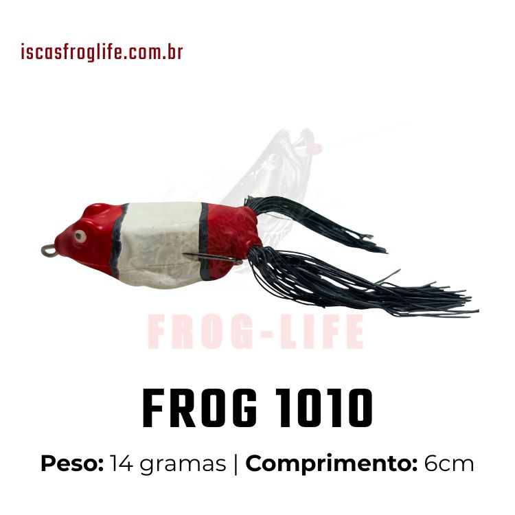 1010