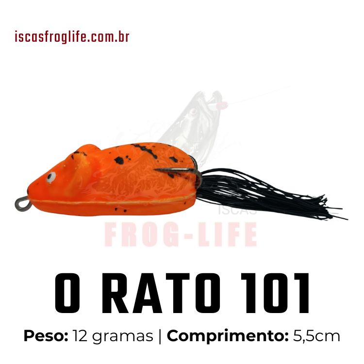 101