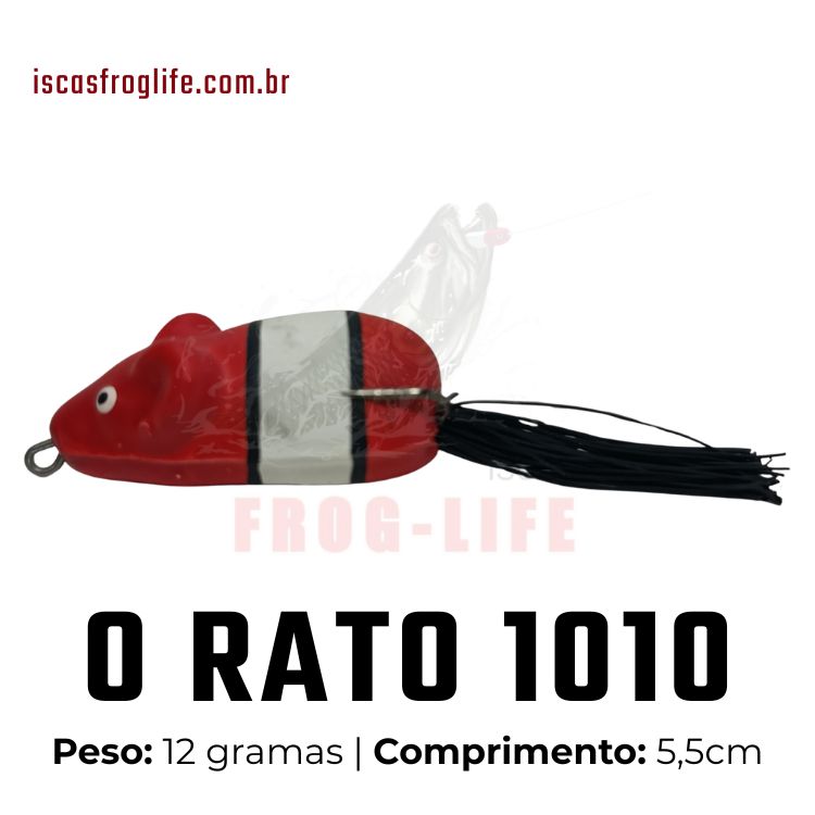 1010