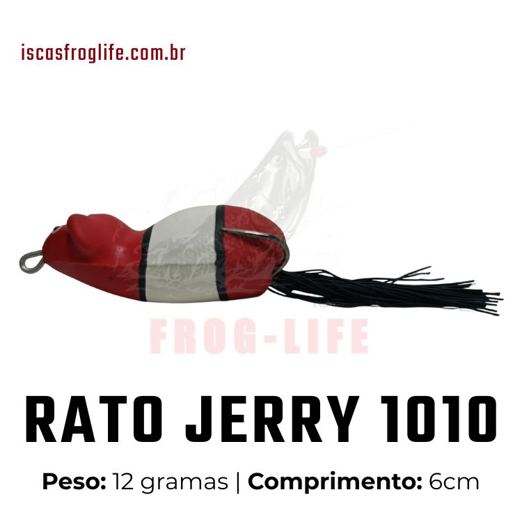 1010